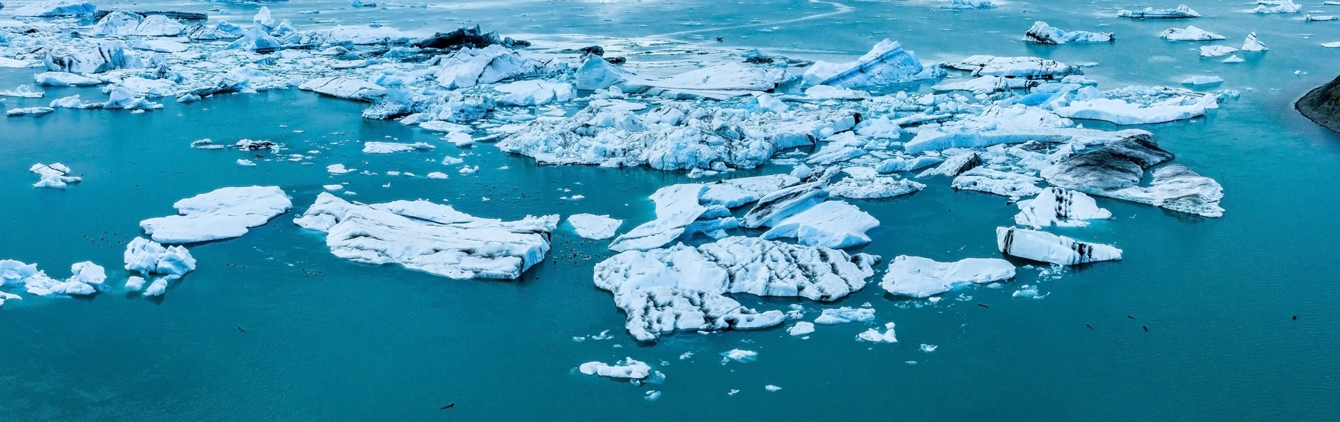 Poner los derechos humanos en el centro de la política ambiental