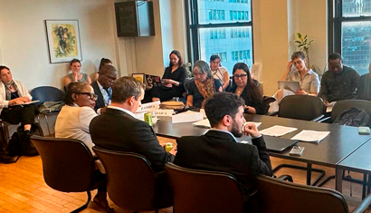 Who Will Shape the UN Tax Convention? Governance, Participation and the Law Behind the Rules