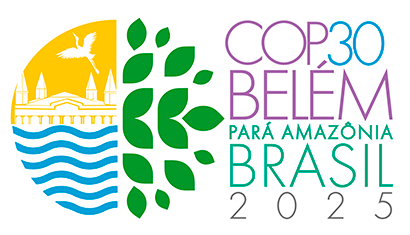 COP30: Gaps, Gains and the Road Ahead 