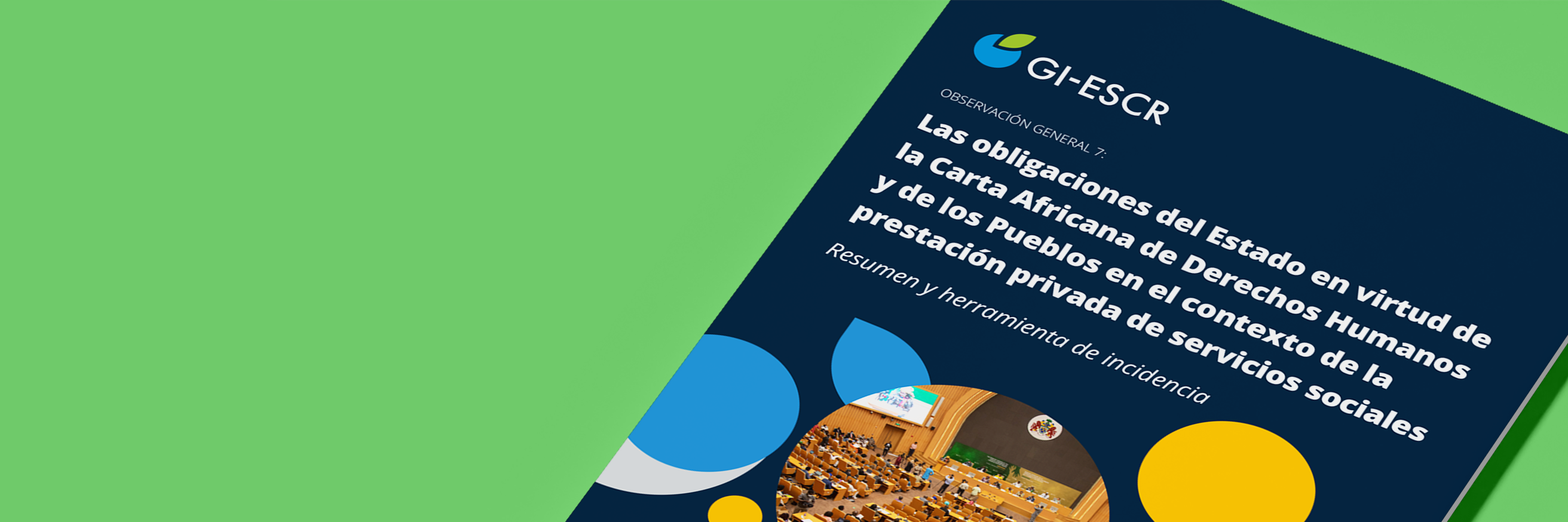 Las obligaciones del Estado en virtud de la Carta Africana de Derechos Humanos y de los Pueblos en el contexto de la prestación privada de servicios sociales