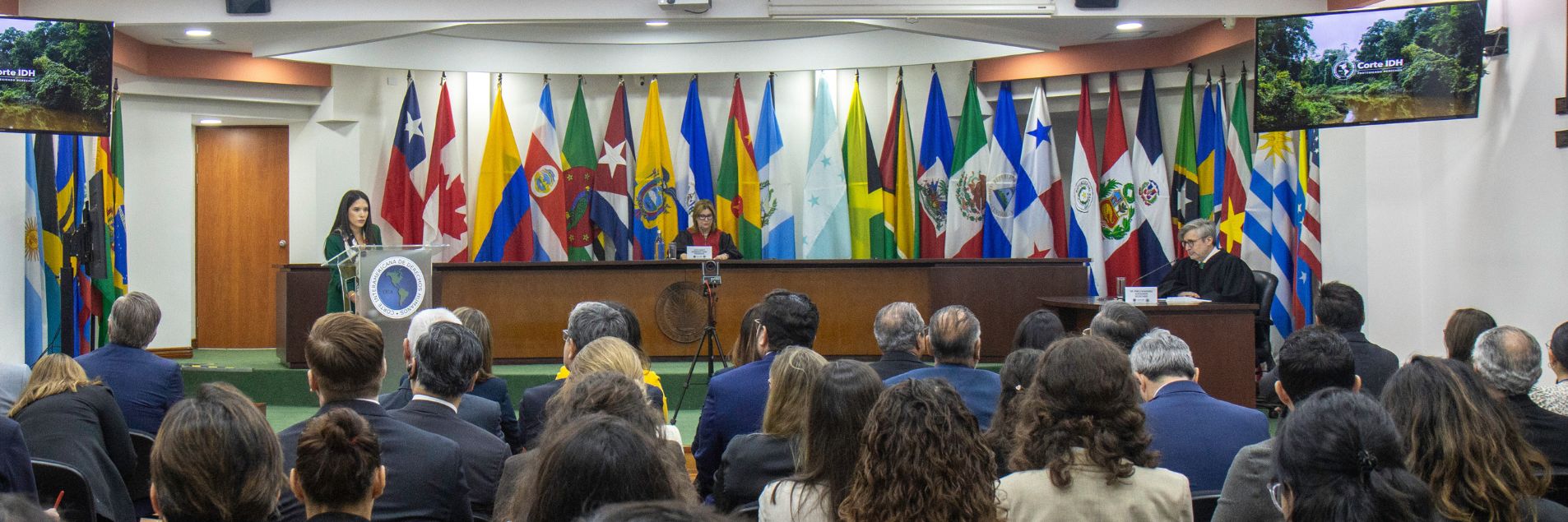 Climate Emergency and Human Rights: The Inter-American Court of Human Rights Published a Historic Advisory Opinion 
